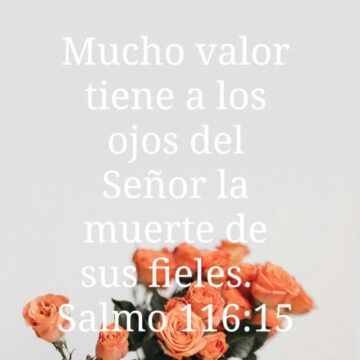 Imágenes para rendir homenaje a persona finada, estas pueden variar en su contenido.