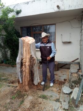 Imágenes para rendir homenaje a persona finada, estas pueden variar en su contenido.