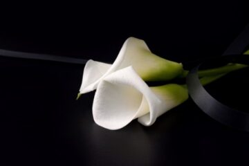 Imágenes para rendir homenaje a persona finada, estas pueden variar en su contenido.