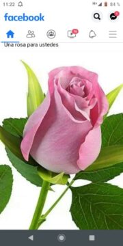 Imágenes para rendir homenaje a persona finada, estas pueden variar en su contenido.