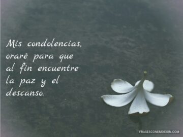 Imágenes para rendir homenaje a persona finada, estas pueden variar en su contenido.