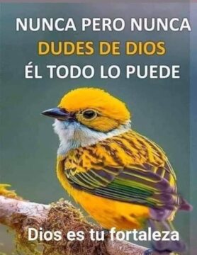 Imágenes para rendir homenaje a persona finada, estas pueden variar en su contenido.