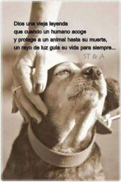 Imágenes para rendir homenaje a persona finada, estas pueden variar en su contenido.