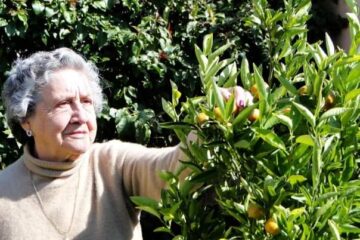 Imágenes para rendir homenaje a persona finada, estas pueden variar en su contenido.