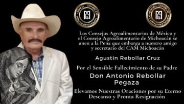 Imágenes para rendir homenaje a persona finada, estas pueden variar en su contenido.