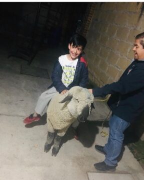 Imágenes para rendir homenaje a persona finada, estas pueden variar en su contenido.