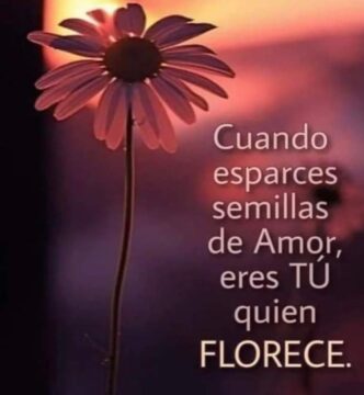 Imágenes para rendir homenaje a persona finada, estas pueden variar en su contenido.