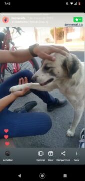 Imágenes para rendir homenaje a persona finada, estas pueden variar en su contenido.