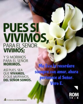 Imágenes para rendir homenaje a persona finada, estas pueden variar en su contenido.