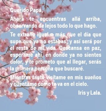 Imágenes para rendir homenaje a persona finada, estas pueden variar en su contenido.