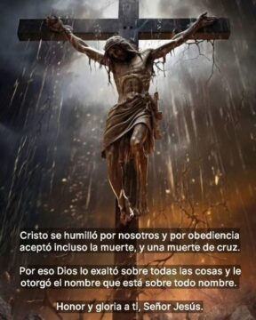 Imágenes para rendir homenaje a persona finada, estas pueden variar en su contenido.