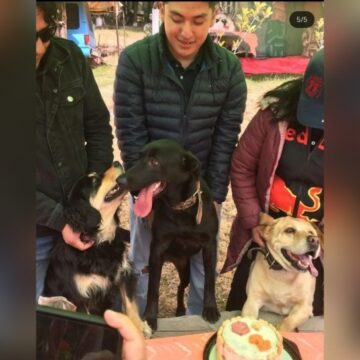 Imágenes para rendir homenaje a persona finada, estas pueden variar en su contenido.