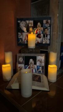 Imágenes para rendir homenaje a persona finada, estas pueden variar en su contenido.
