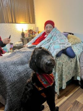 Imágenes para rendir homenaje a persona finada, estas pueden variar en su contenido.