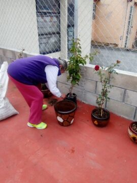 Imágenes para rendir homenaje a persona finada, estas pueden variar en su contenido.