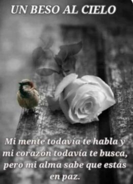 Imágenes para rendir homenaje a persona finada, estas pueden variar en su contenido.